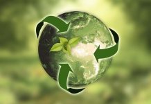Energía verde, 6 alternativas para transformar al mundo.