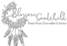 Blossom Goodchild Diciembre 5 2020 Blossom Goodchild
