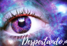 Constelaciones Familiares con Zeli Reyes Retana